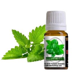 AROMA OIL4VAP HIERBABUENA 10ml